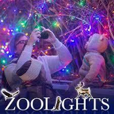 zoo lights zoo lights